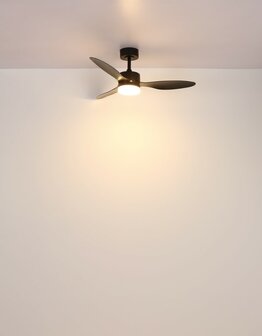 Globo Blackwell plafondventilator zwart met verlichting 106 cm